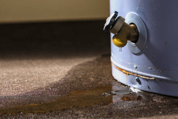 Best Water damage restoration near me  in Haddon Heights, NJ