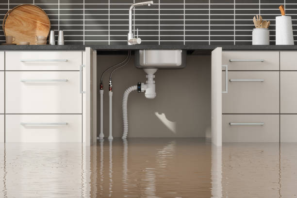 Best Sewage cleanup and water damage restoration  in Haddon Heights, NJ